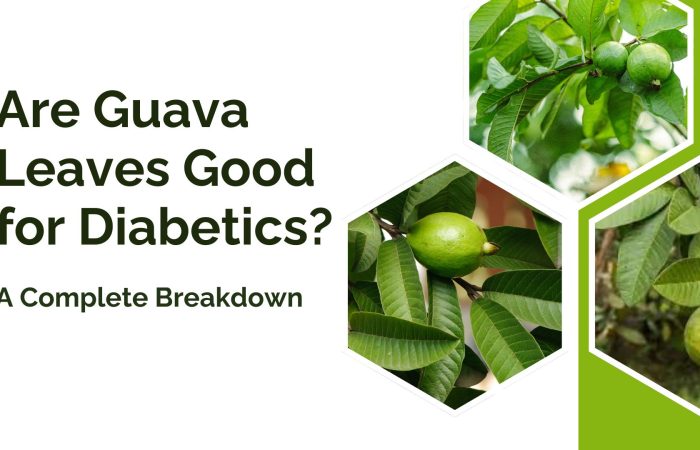 guava leaves