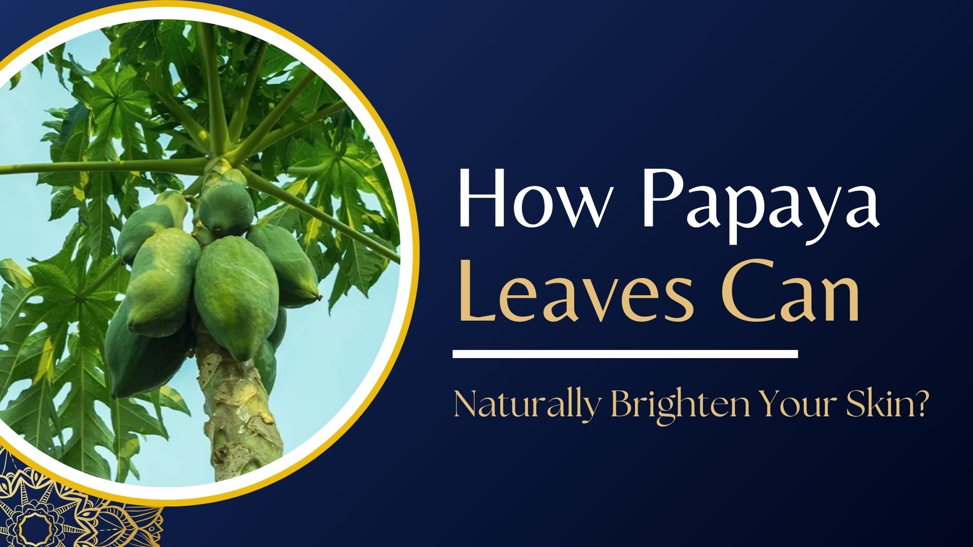 Papaya Leaves Can Naturally Brighten Your Skin