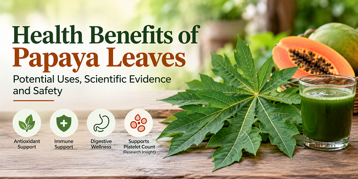 Health Benefits of Papaya Leaves: Potential Uses, Scientific Evidence, and Safety